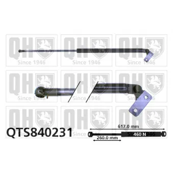 Vérin de hayon, de coffre QUINTON HAZELL QTS840231