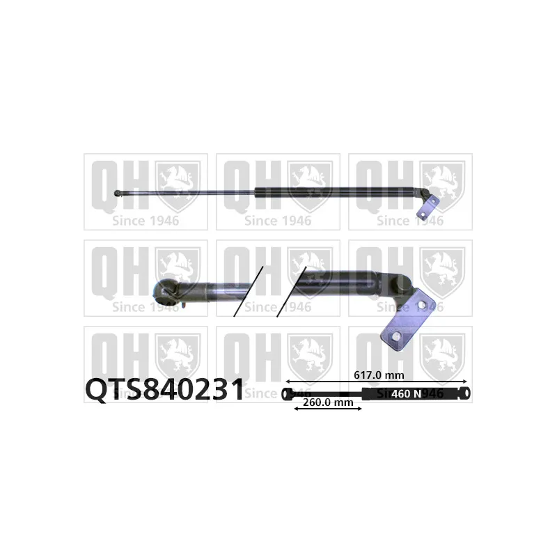 Vérin de hayon, de coffre QUINTON HAZELL QTS840231