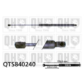 Vérin de hayon, de coffre QUINTON HAZELL QTS840240