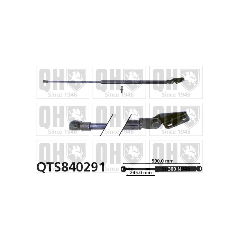 Vérin de hayon, de coffre QUINTON HAZELL QTS840291