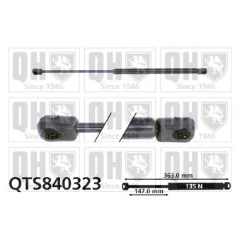 Vérin, vitre arrière QUINTON HAZELL QTS840323