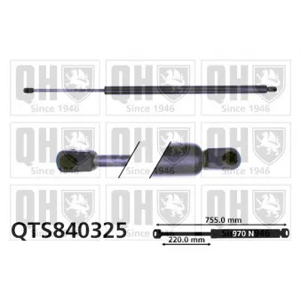 Vérin de hayon, de coffre QUINTON HAZELL QTS840325