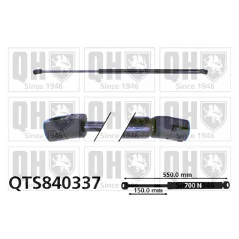 Vérin de hayon, de coffre QUINTON HAZELL QTS840337