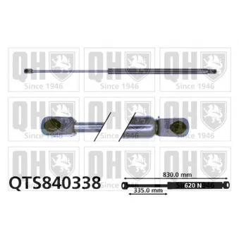 Vérin de hayon, de coffre QUINTON HAZELL QTS840338