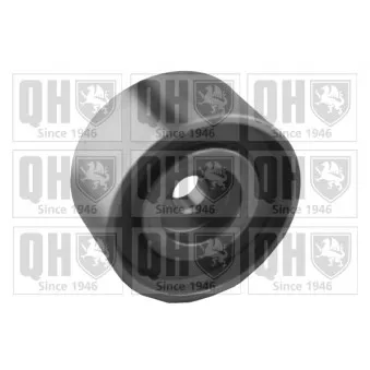 Poulie renvoi/transmission, courroie de distribution QUINTON HAZELL QTT1036