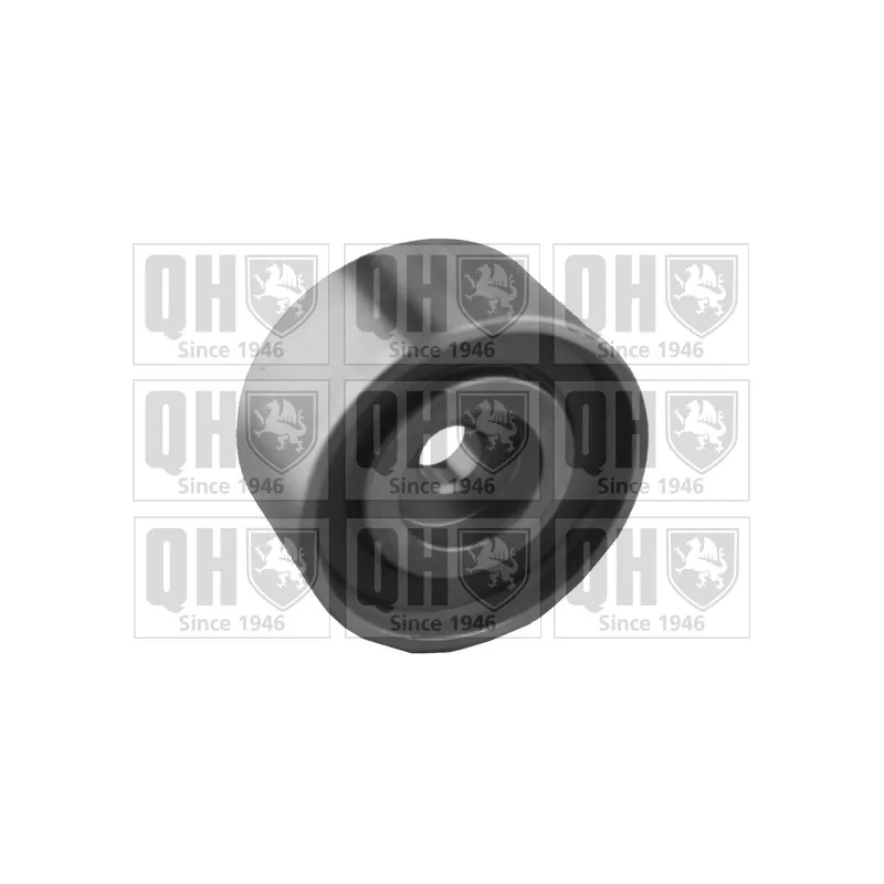 Poulie renvoi/transmission, courroie de distribution QUINTON HAZELL QTT1036