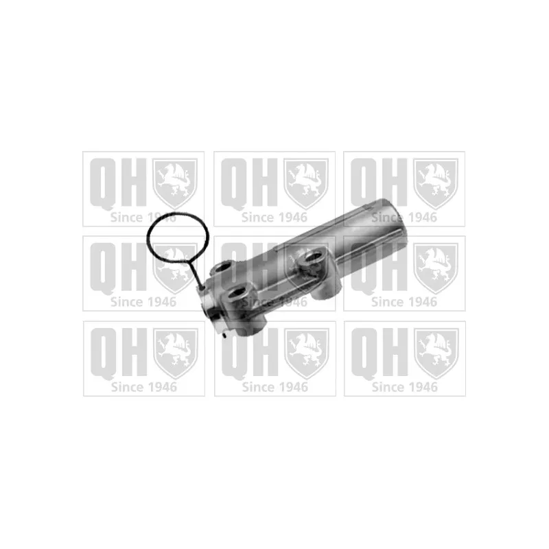Amortisseur de vibrations, courroie crantée QUINTON HAZELL QTT1056H