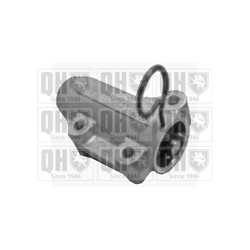 Amortisseur de vibrations, courroie de distribution QUINTON HAZELL QTT1057