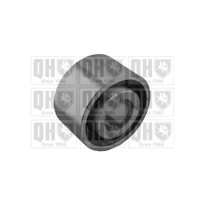 Poulie renvoi/transmission, courroie de distribution QUINTON HAZELL QTT1065