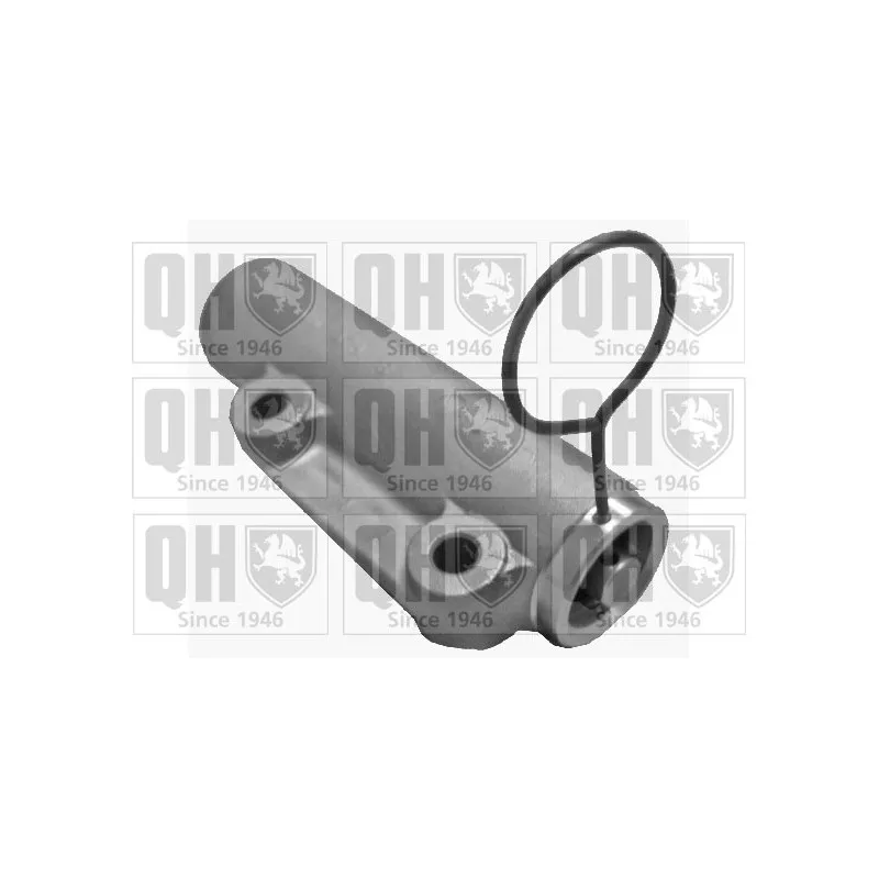 Amortisseur de vibrations, courroie de distribution QUINTON HAZELL QTT1067