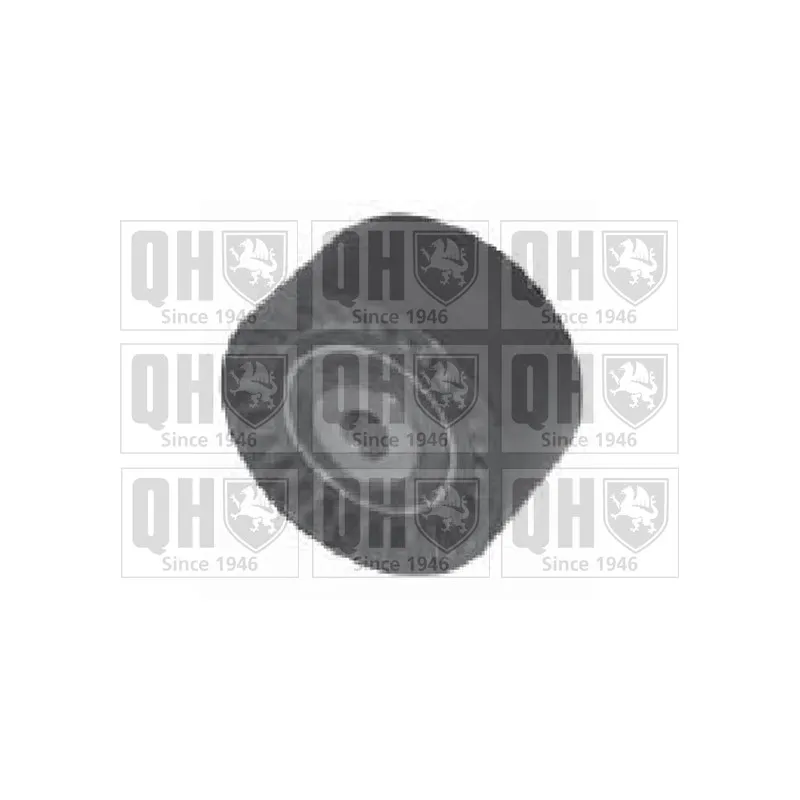 Poulie renvoi/transmission, courroie de distribution QUINTON HAZELL QTT1092