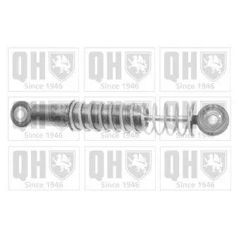 Amortisseur de vibrations, courroie de distribution QUINTON HAZELL QTT1134