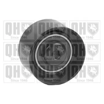 Poulie renvoi/transmission, courroie de distribution QUINTON HAZELL QTT1142