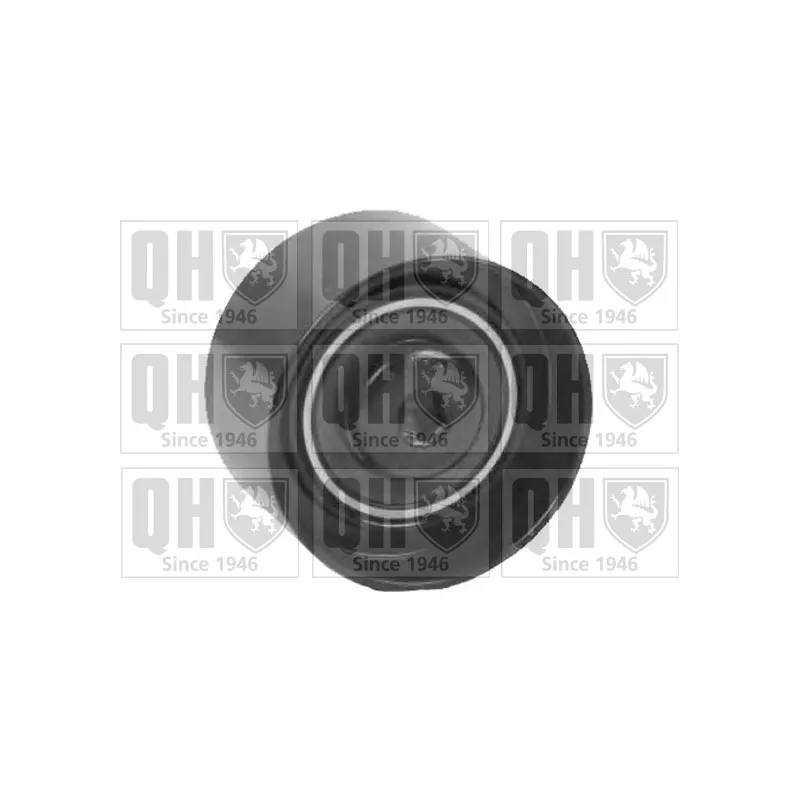 Poulie renvoi/transmission, courroie de distribution QUINTON HAZELL QTT1142