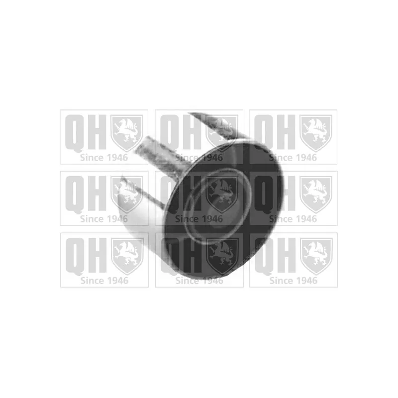 Poulie renvoi/transmission, courroie de distribution QUINTON HAZELL QTT116