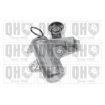 Amortisseur de vibrations, courroie de distribution QUINTON HAZELL QTT1178