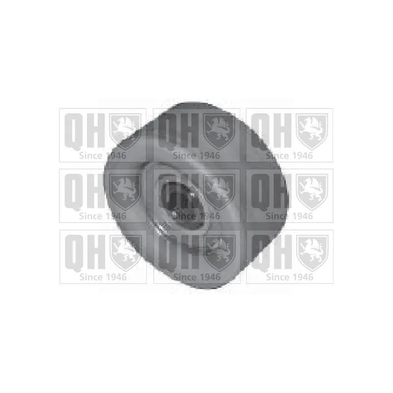 Poulie renvoi/transmission, courroie de distribution QUINTON HAZELL QTT1185