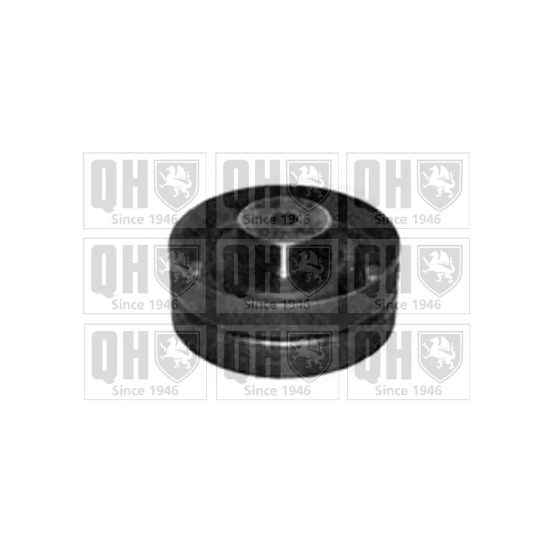 Poulie renvoi/transmission, courroie de distribution QUINTON HAZELL QTT174