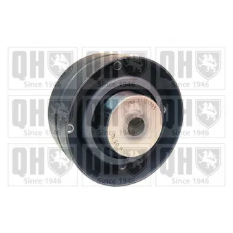 Poulie renvoi/transmission, courroie de distribution QUINTON HAZELL QTT256