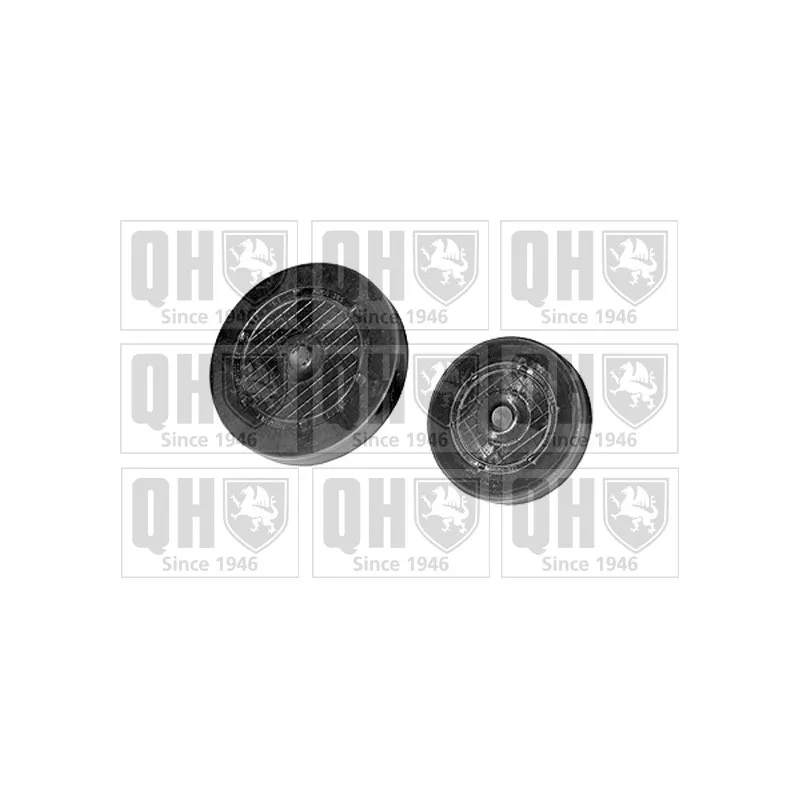 Cache, courroie QUINTON HAZELL QTT3000K