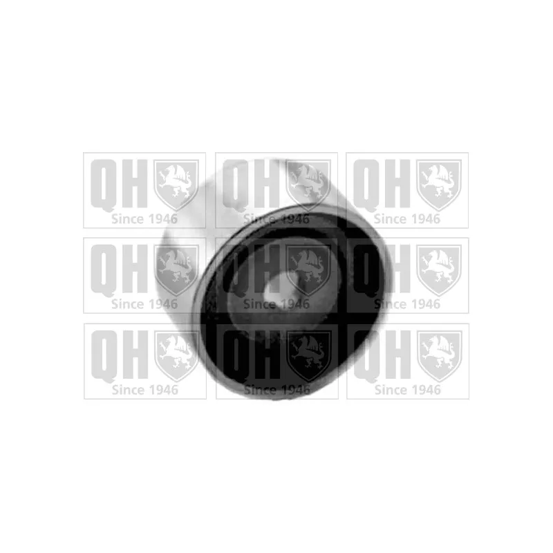Poulie renvoi/transmission, courroie de distribution QUINTON HAZELL QTT333