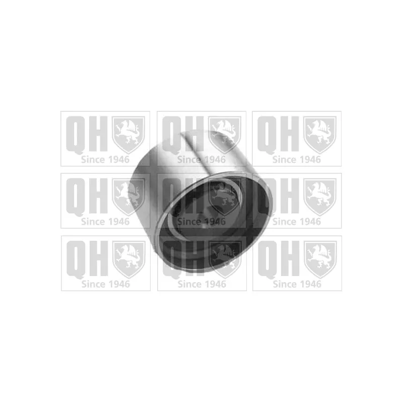 Poulie renvoi/transmission, courroie de distribution QUINTON HAZELL QTT359