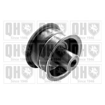 Poulie renvoi/transmission, courroie de distribution QUINTON HAZELL QTT414