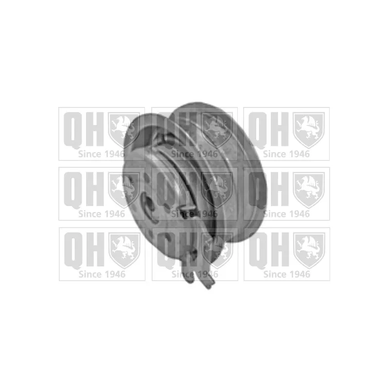 Poulie-tendeur, courroie crantée QUINTON HAZELL QTT927