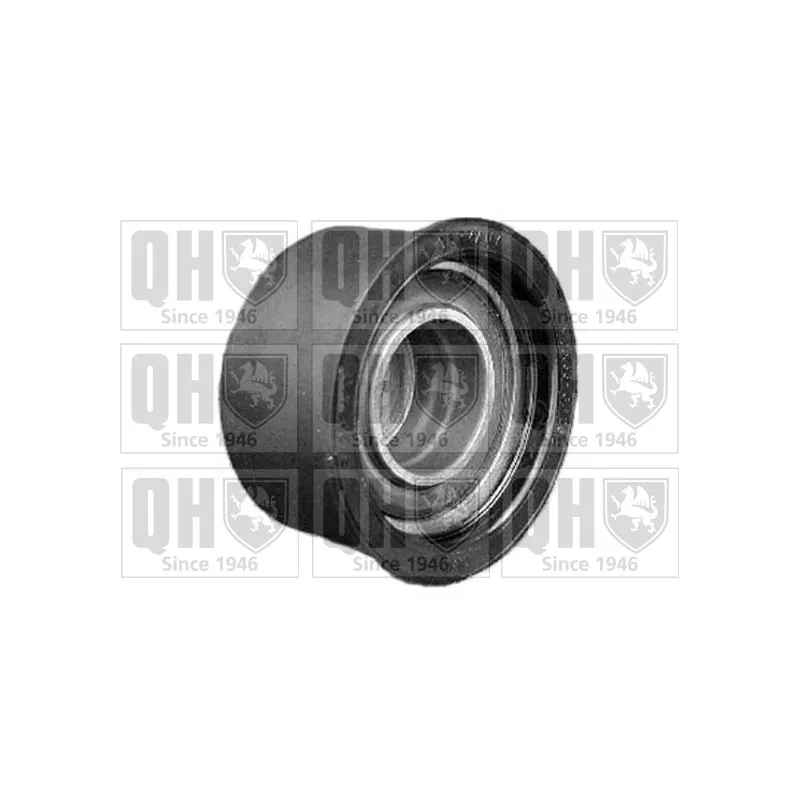 Poulie renvoi/transmission, courroie de distribution QUINTON HAZELL QTT944