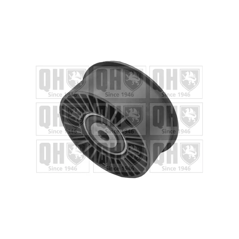 Poulie renvoi/transmission, courroie de distribution QUINTON HAZELL QTT952