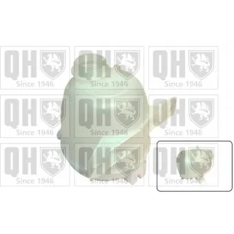 Vase d'expansion, liquide de refroidissement QUINTON HAZELL QVE539