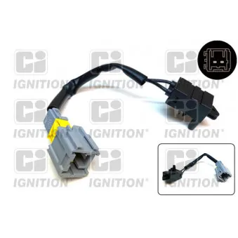 Commande, embrayage (régulateur de vitesse) QUINTON HAZELL XBLS243