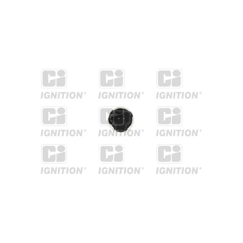 Interrupteur de commande, régulateur de vitesse QUINTON HAZELL XBLS292