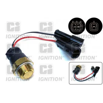 Interrupteur de température, ventilateur de radiateur QUINTON HAZELL XEFS120
