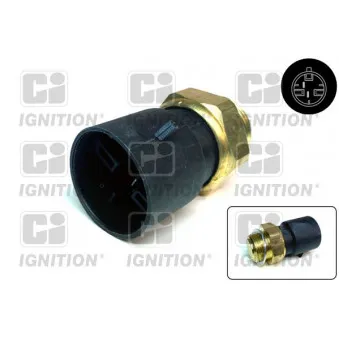 Interrupteur de température, ventilateur de radiateur QUINTON HAZELL XEFS208