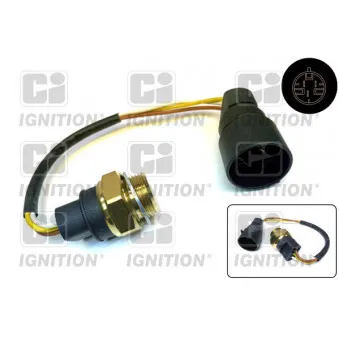 Interrupteur de température, ventilateur de radiateur QUINTON HAZELL XEFS219