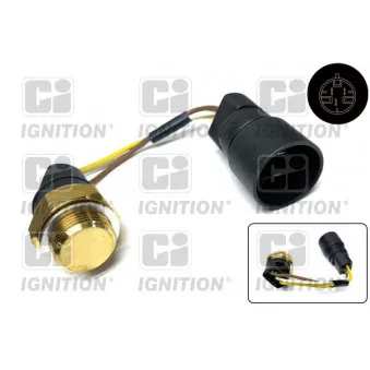 Interrupteur de température, ventilateur de radiateur QUINTON HAZELL XEFS220