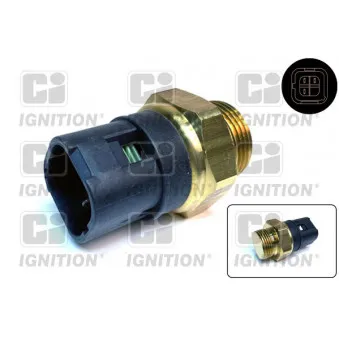 Interrupteur de température, ventilateur de radiateur QUINTON HAZELL XEFS221