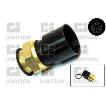 Interrupteur de température, ventilateur de radiateur QUINTON HAZELL XEFS400