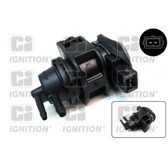 Transmetteur de pression QUINTON HAZELL XELV44