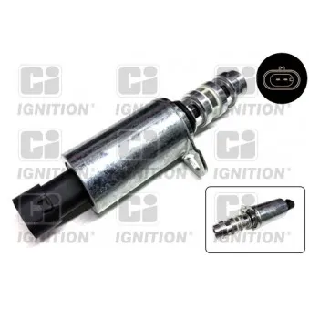 Valve de commande, réglage d'arbres à came QUINTON HAZELL XELV61