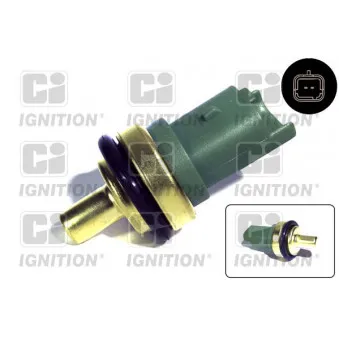Sonde de température, liquide de refroidissement QUINTON HAZELL XEMS101