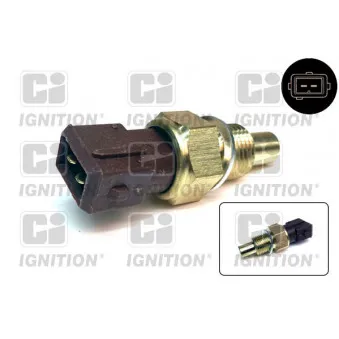 Sonde de température, liquide de refroidissement QUINTON HAZELL XEMS105