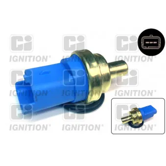 Sonde de température, liquide de refroidissement QUINTON HAZELL XEMS109