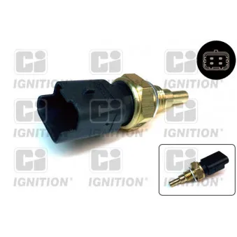 Sonde de température, liquide de refroidissement QUINTON HAZELL XEMS224