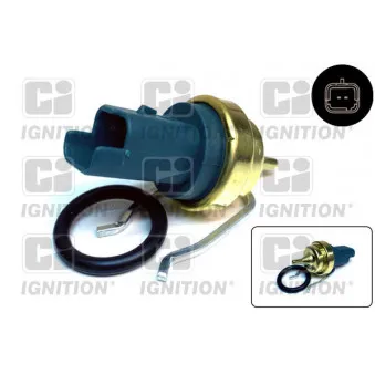 Sonde de température, liquide de refroidissement QUINTON HAZELL XEMS240