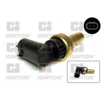 Sonde de température, liquide de refroidissement QUINTON HAZELL XEMS243