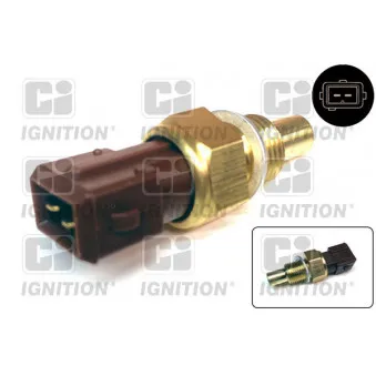 Sonde de température, liquide de refroidissement QUINTON HAZELL XEMS245