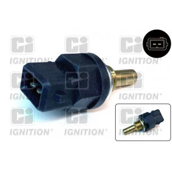 Sonde de température, liquide de refroidissement QUINTON HAZELL XEMS249