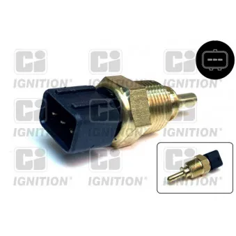 Sonde de température, liquide de refroidissement QUINTON HAZELL XEMS254
